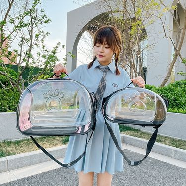 Fashion Cat Handheld Breathable Dog Outdoor Shoulder Crossbody Foldable Transparent Pet Bag_voghion.com
