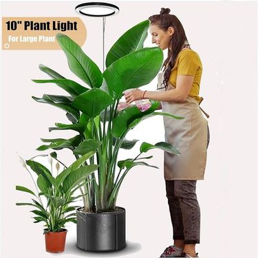 LED Angel Ring Plant Light 6 Inch Full Spectrum Plant Grow Light Indoor Large Pot Plant Fill Light_voghion.com