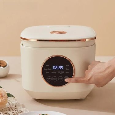Smart Mini Rice Cooker 5L Multifunction Cooker 2-3 People Portable Electric Cooker Nonstick Pot For Kitchen Home Cooking Machine_voghion.com