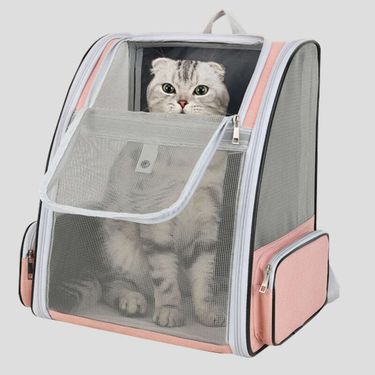 Straight For Use, Large Capacity Pet Bag, Breathable Dual Shoulder Portable Cat Outdoor Bag_voghion.com