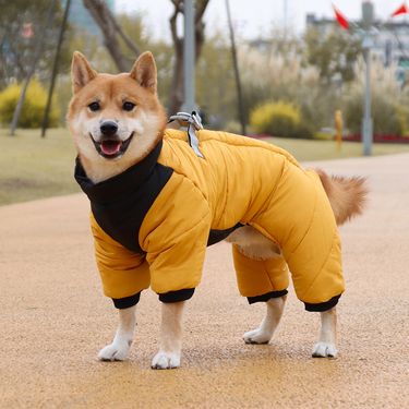 Dog clothes for winter warmth, small dog cotton clothes for outdoor cold protection, pet dog clothes_voghion.com