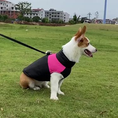 Winter Warm Waterproof Dog Jacket For Small, Medium, And Large Dogs, Chihuahua Clothing, Labrador Vest, French Bulldog By PawParty Store_voghion.com