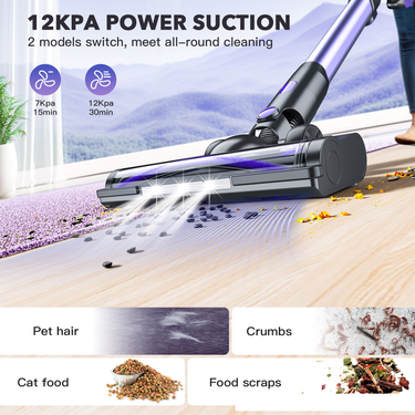 Portable vacuum cleaner household small large suction handheld push rod two in one cleaning hair telescopic vacuum cleaner_voghion.com