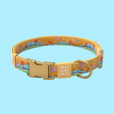 Design New Pet Supplies Dog Leash Heat Transfer Collar_voghion.com