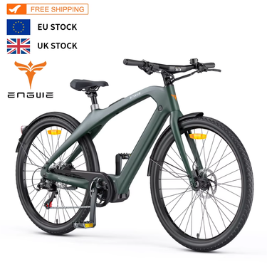 Pre Sale Engwe N1 Pro 250W Mid-drive Carbon City E-bike App Informed Real-time GPS Tracking Hidden Removable Lithium Battery_voghion.com