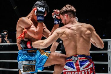 Professional Half-Finger Boxing Gloves - for Adults & Children, Suitable for Sanda, Fighting, UFC, Muay Thai, MMA Training_voghion.com