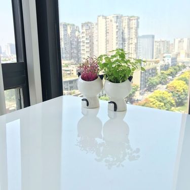 DIY Office Mini Copper Money Desktop Potted Plant Head Doll Love Grass Kindergarten Ceramic Cat_voghion.com