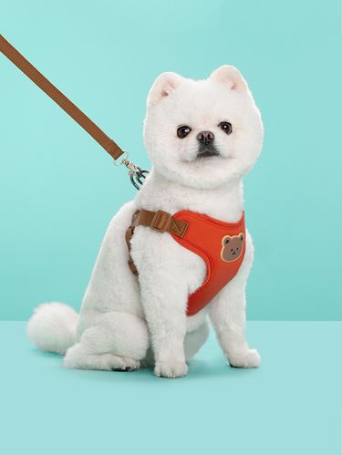 1 PieceA Pet Harness - Style Leash For Small And Medium - Sized Dogs - An Outdoor Walking Leash, Pet Harness, And Dog Leash For Teddy And Other Breeds_voghion.com