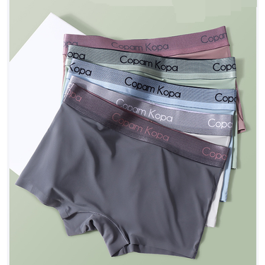 Seamless Women's Underwear Breathable Nylon & Cotton Gusset Anti-Bacterial No Show Panties For Sports & Daily Wear ( Mid Waist, Triangle & Bikini Cut)_voghion.com