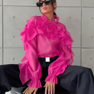 Women's Clothing temperament mesh stand collar shirt design ruffles niche fashion_voghion.com