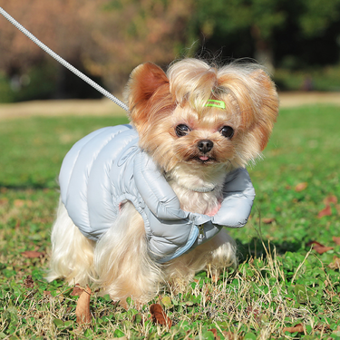 Pet Clothing, Two Legged Down Winter Warm Cotton Jacket, Small Dog Vest, Vest_voghion.com