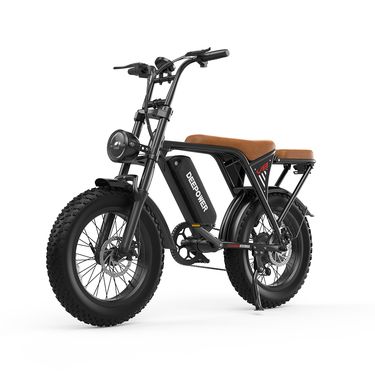 Deepower V8 Electric Dirt Bike With Dual Seat, 48V 20AH Battery, 20"x4.0" Fat Tires_voghion.com