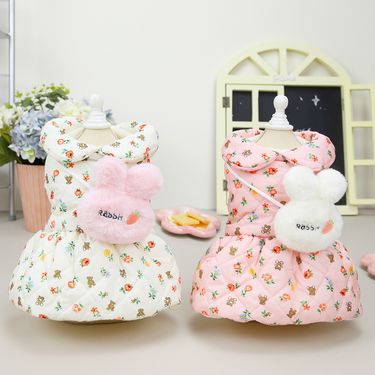 Pet dog clothing autumn and winter legs jacket pet plush princess 22 rabbit cotton skirt_voghion.com