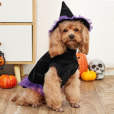 2025 New Wizard Transformation Costume Halloween Clothes Pet Cat Dog Apparel_viptrois.com