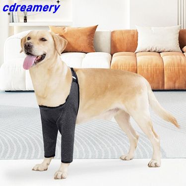 Adjustable Dog Leg Support Sleeve Breathable Elastic Dog Knee Pads Dirt-proof Soft Dog Injury Recover Legs Pad For Dog Front Leg_voghion.com