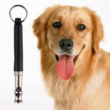 Pet Dog Obedience Quiet Training Ultrasonic Dog Whistle_voghion.com