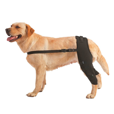 Dog Leg Protector Pet Joint Protective Cover_voghion.com