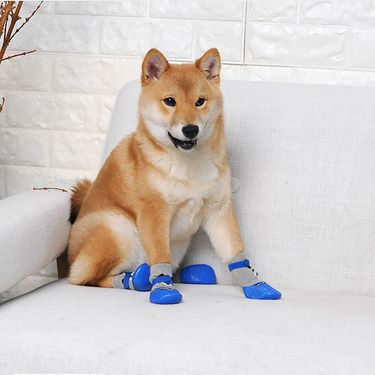 CDDMPET Winter Socks For Dogs Blue/Red/Black By PawParty Store_voghion.com