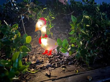 Independent station Light-Up Chicken holiday decoration lantern duck scarf holiday decoration_voghion.com