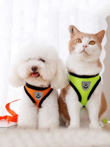 A Set Of Dog Leash, Pet Harness, Dog Collar - Vest - Style Dog - Walking Essential For Outdoor Use_voghion.com