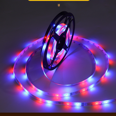 Light strip led strip self adhesive 2835rgb led light strip 12v colorful neon light 5 meters outdoor low voltage_voghion.com
