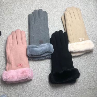 Suede Women's Autumn Winter Outdoor Warm Riding Fleece Lined Black Pink Gray Camel Touchscreen Gloves_voghion.com