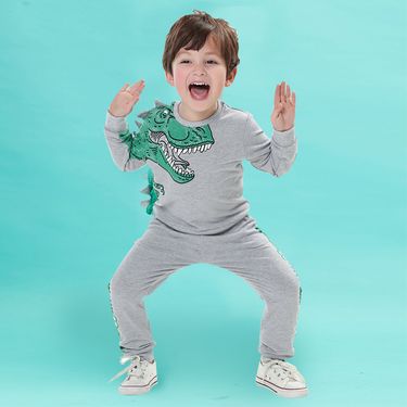 Mother&Kids Children's dinosaur pattern hoodie two-piece dinosaur set for boys and children_voghion.com