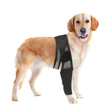 Dog Leg Fracture Protection Injury Support Belt_voghion.com