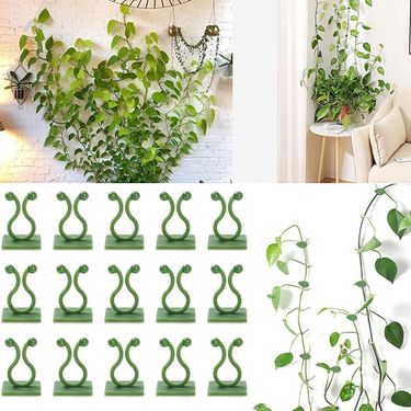 30Pcs Plant Climbing Wall Fixture Clips Rattan Vine Fixer Self-Adhesive Hook Invisible Garden Binding Clip Wall Sticky Clip_voghion.com