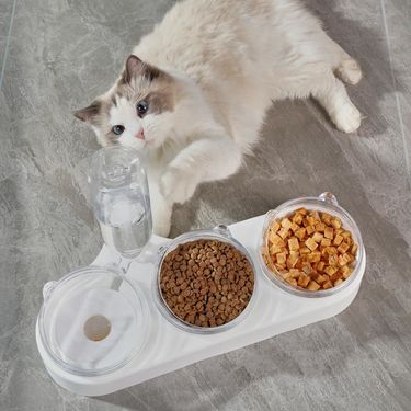 Dog Dual Automatic Pet Feeder Basin Dog Bowl Cat Supplies Water Dispenser_voghion.com