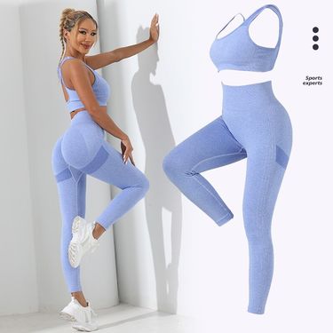 Yoga Basic 2pcs Seamless High Stretch Yoga Set Tracksuit Gym Set Crisscross Back Cami Hip-hugging Tummy Control Leggings_voghion.com