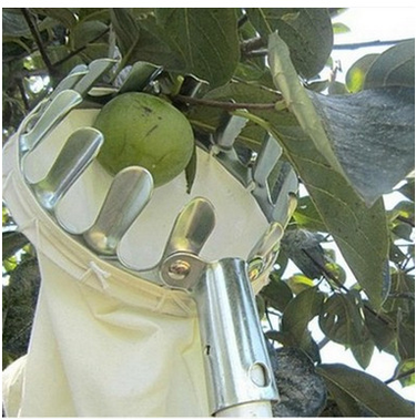 Metal Fruit Picker High Altitude Fruit Picker Portable Fruit Picker Agricultural Garden Hardware Tools_voghion.com