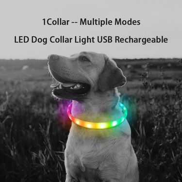 D Buckle USB Rechargeable Dog LED Night Safety Light Pet Collar Glowing Flashing Necklace Anti-Lost Leash By PawParty Store_voghion.com