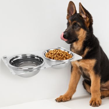 Cat feeder Transparent hanging pet drinking water holder anti-upset pet dog bowl holder_voghion.com