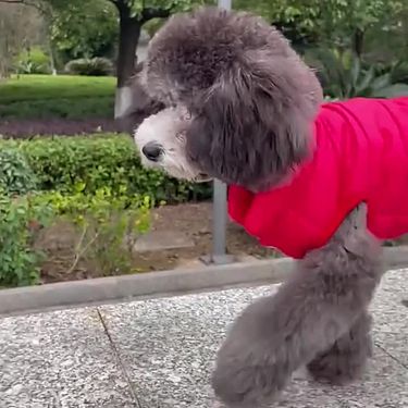 Clothing Puppy Dogs Small Dogs, Warm Thickened Jacket Chihuahuas, Yorkies, Coat, Lined Vest For French Bulldog, Mopsh, By PawParty Store_voghion.com