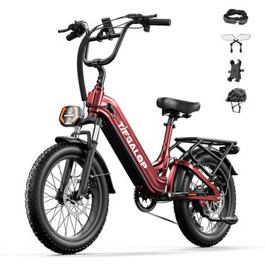 Tifgalop Adult Electric Bicycle, 20-inch, Removable 48V 20Ah Lithium Battery, Range 50-150 Km, Full Shock Absorption._voghion.com