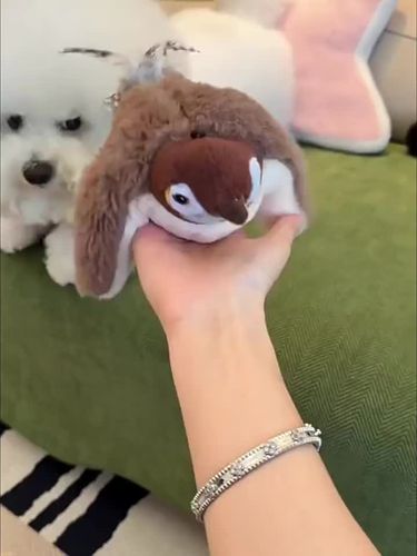 New Interactive Toys Catnip, Electric Pat Bird (with Catnip), Dogs, Cats, Squeaky Plush Toy For Pets, USB Rechargeable By PawParty Store_voghion.com