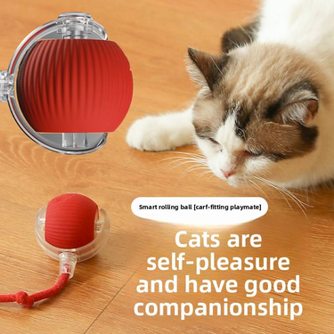 Intelligent Boredom-relieving Electric Cat And Dog Toys, Automatic Dog And Cat Toy Balls_voghion.com