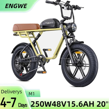 ENGWE M1 20 Inch Electric Dirt Bike with 48 V15.6Ah Battery, 250W Full Suspension Mountain Bike_voghion.com