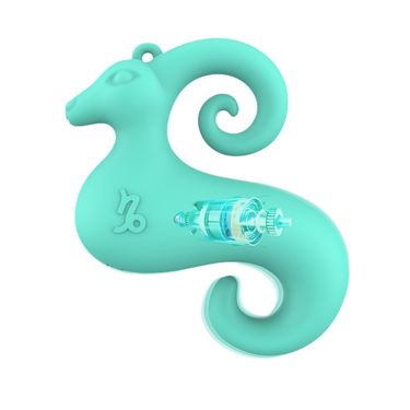 Capricorn Women Masturbate Vibrate Massage Toys Couple Teasing Sex Toys_voghion.com