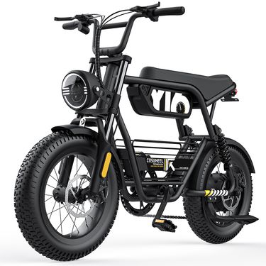 COSWHEEL Y16 16" City Electric Bike 500W Motor 48V 15Ah Battery_voghion.com