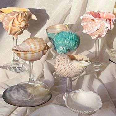 Home Garden Handmade Natural Pink Conch Shell Wine Glass Martini Shell Cocktail Glass Can Be Given As A Beach Gift_voghion.com