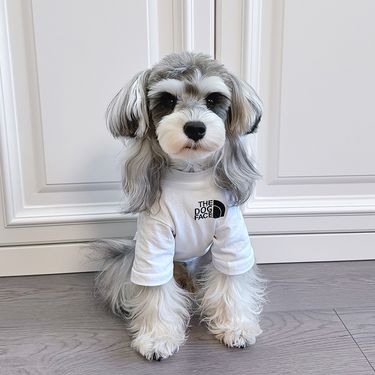 Dog Clothes Fashion Thin Medium And Large Dogs Golden Retriever Giant Expensive Bichon Teddy Corgi Schnauzer Pet Puppy Summer_voghion.com