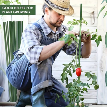 30PCS Plant Vine Poles, 60cm Length, Outdoor Garden Pillars_voghion.com