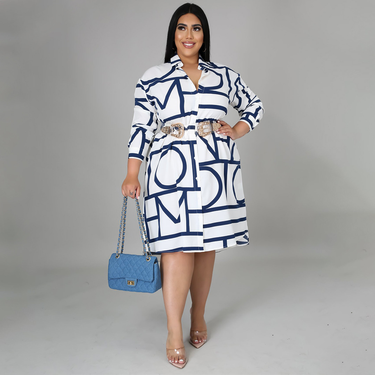 Women's printed pleated waist shirt plus size dress for women_voghion.com