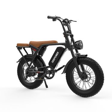 Deepower V8 Electric Dirt Bike With Dual Seat, 48V 20AH Battery, 20"x4.0" Fat Tires_voghion.com