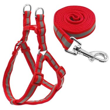 Small Medium Dogs Nylon Reflective Dog Leash Lead Set_voghion.com