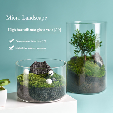 Glass Terrarium For DIY Moss & Succulent - Clear Mini Ecosystem Vase With Lid (Perfect For Hydroponic Plants, Fairy Garden Decor)_voghion.com