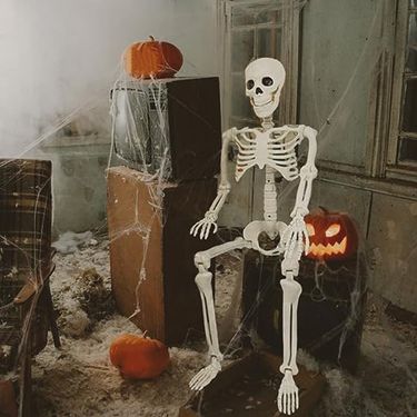 Halloween Skeleton 40cm90cm Simulation Human Plastic Skeleton Haunted House Decoration_voghion.com
