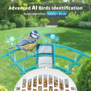 Bird Feeder With Camera, AI Identify Birds Species, Smart Birds Camera With Solar Powered, Auto Record 2K Birds Video In Backyard_voghion.com